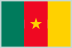 Cameroon Flag